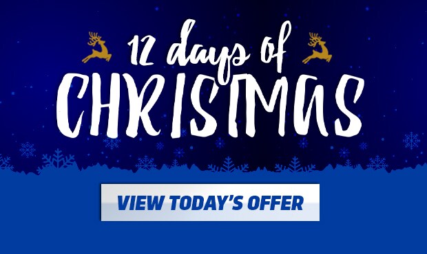 12_DaysOfChristmas_Hero.jpg